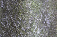 Ramsgill fibreglass roof work